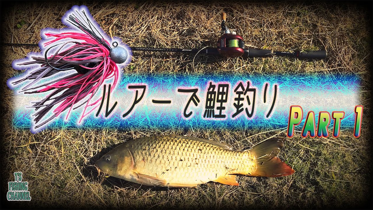 [ルアーで鯉釣り] サイトフィッシング! 1投目でキタ! 自作ラバージグで鯉に挑む! Part 1 Fish on first cast!