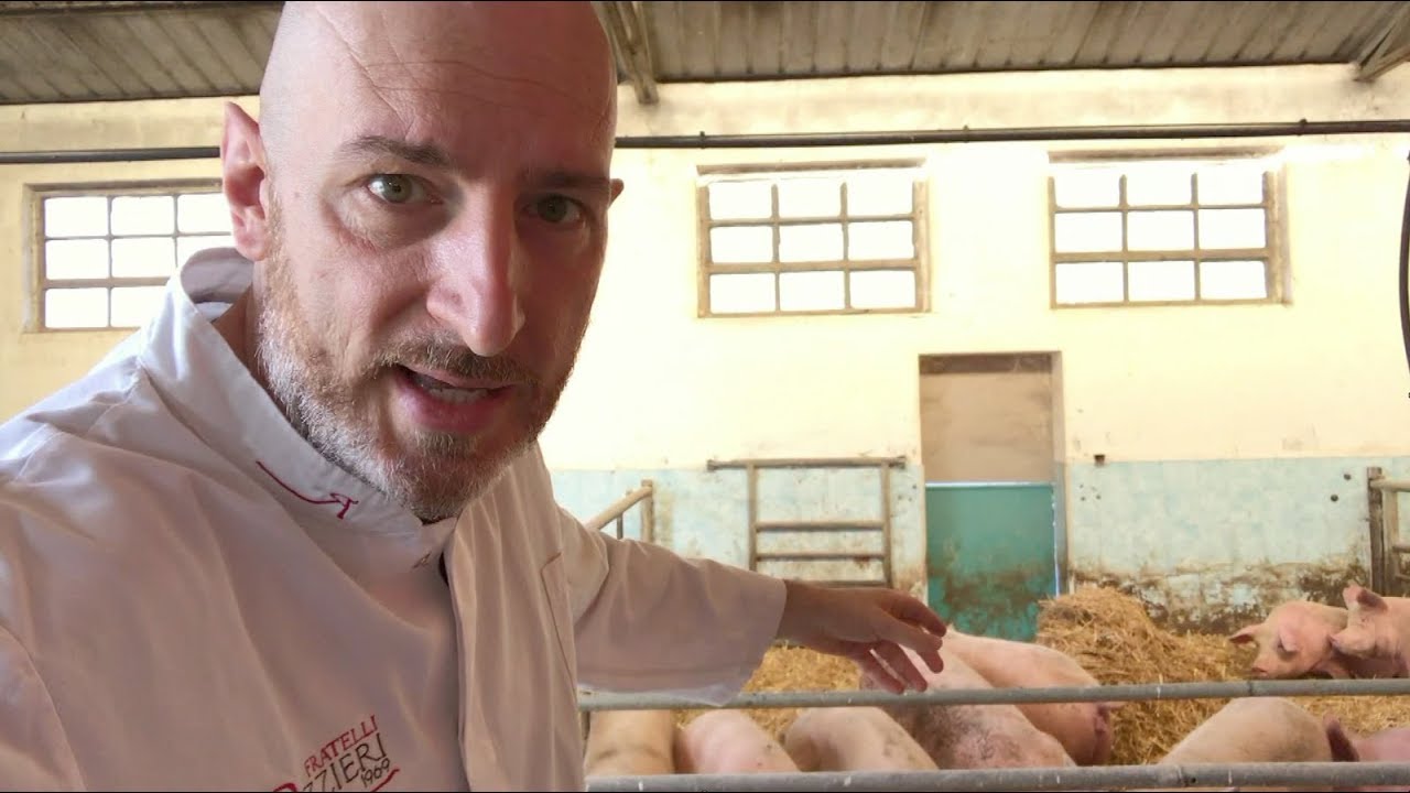 lorenzorizzieri.it - Allevare suini (in modo NON intensivo)
