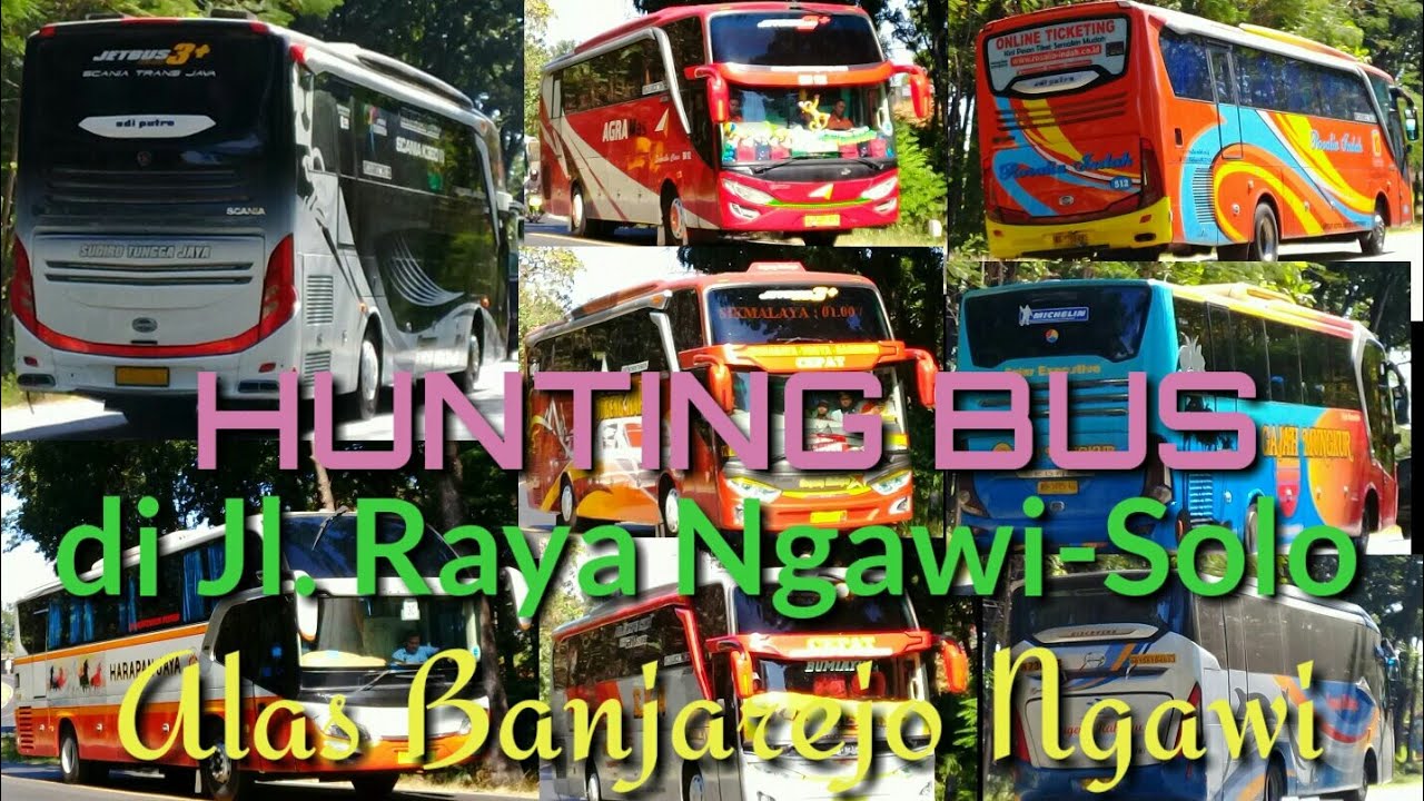 Hunting di Jl. Raya Ngawi-Solo | Alas Banjarejo Ngawi