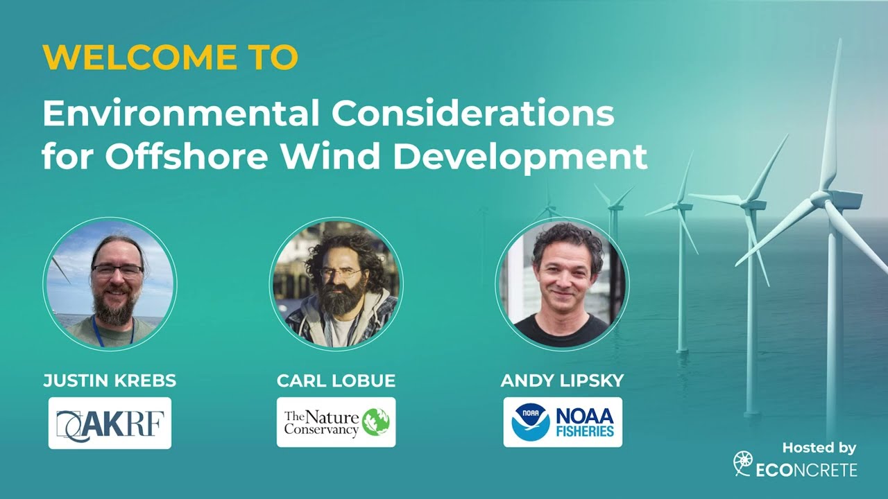 Webinar: Environmental Considerations for Offshore Wind Development