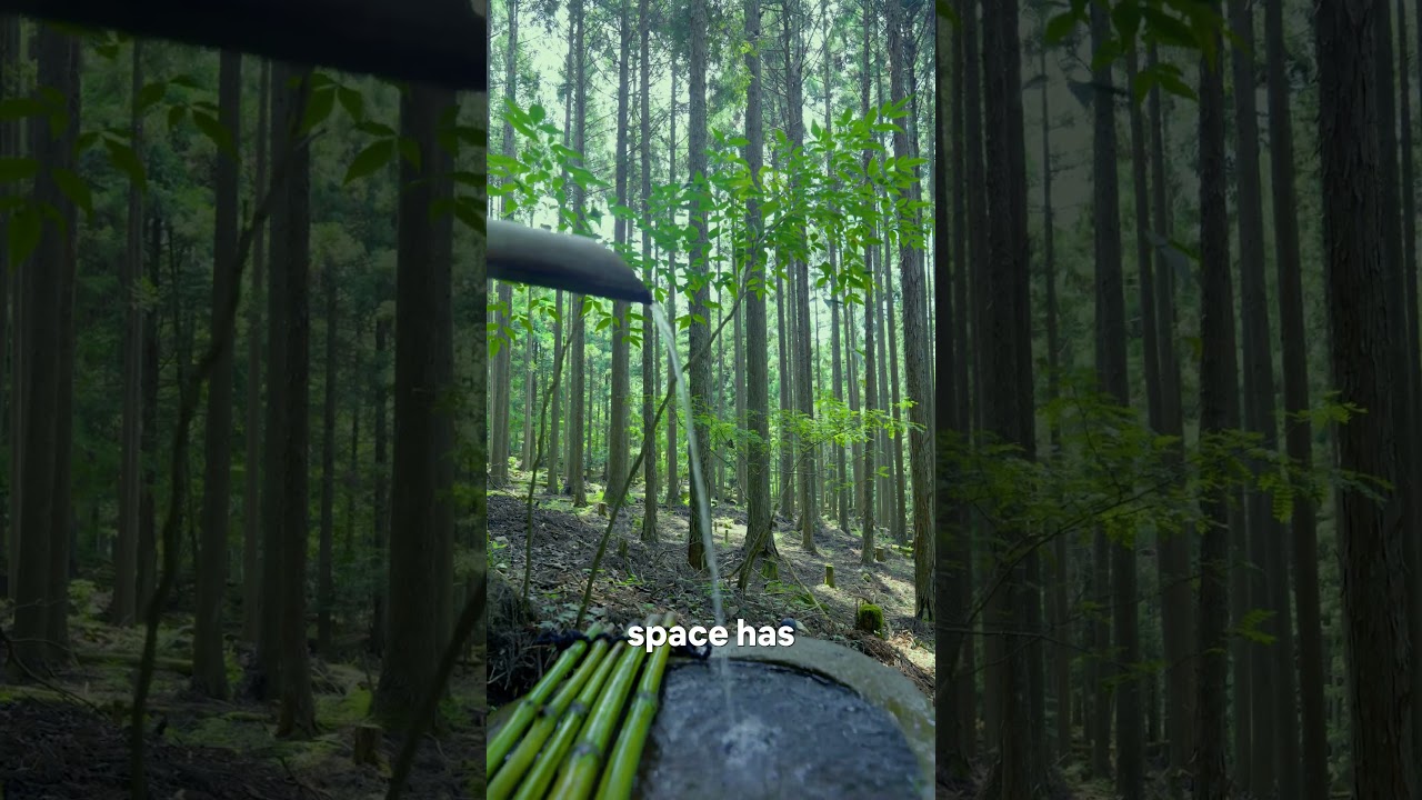 The 900,000-View Kyoto Shrine That Stops Time | Hidden Sacred Space Revealed #hiddengems