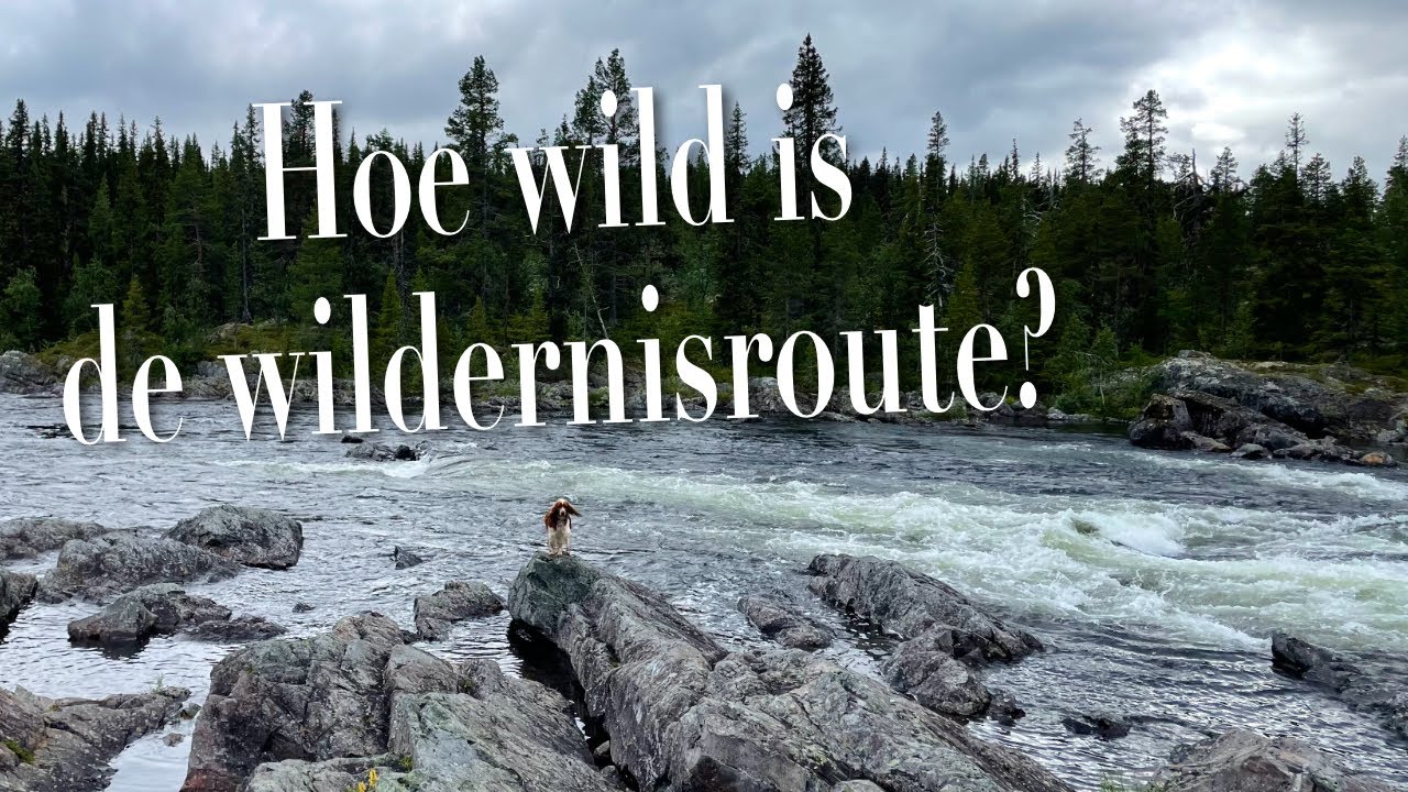 Heel veel watervallen op de Wildernisroute in Zweden! #010