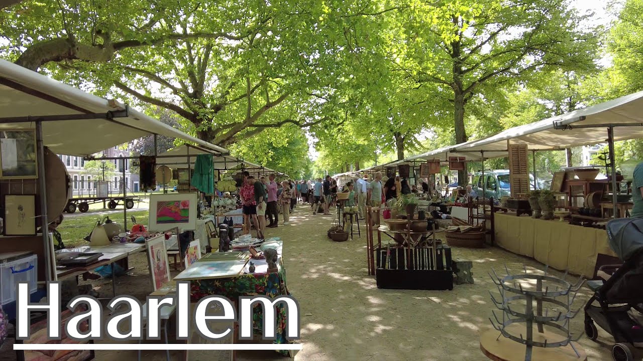 Wandelen in Haarlem - Antiekmarkt en Haarlemmerhout | 4K
