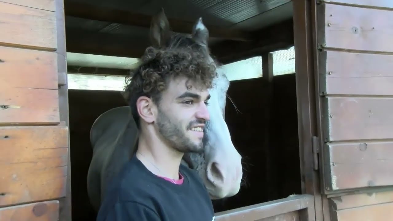 Cono e il suo cavallo affetto da glaucoma ritornano a Lagonegro dopo il pellegrinaggio ad Assisi