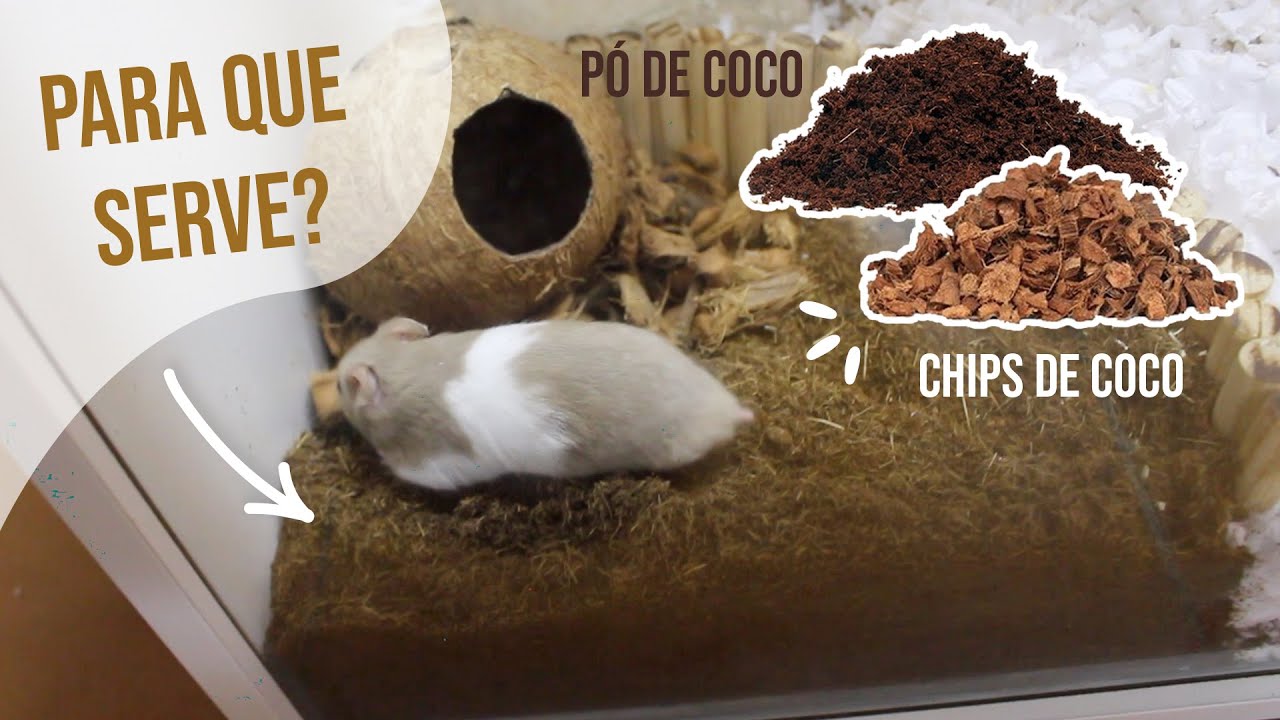 Tudo sobre PÓ DE COCO E CHIPS DE COCO para hamsters e gerbis