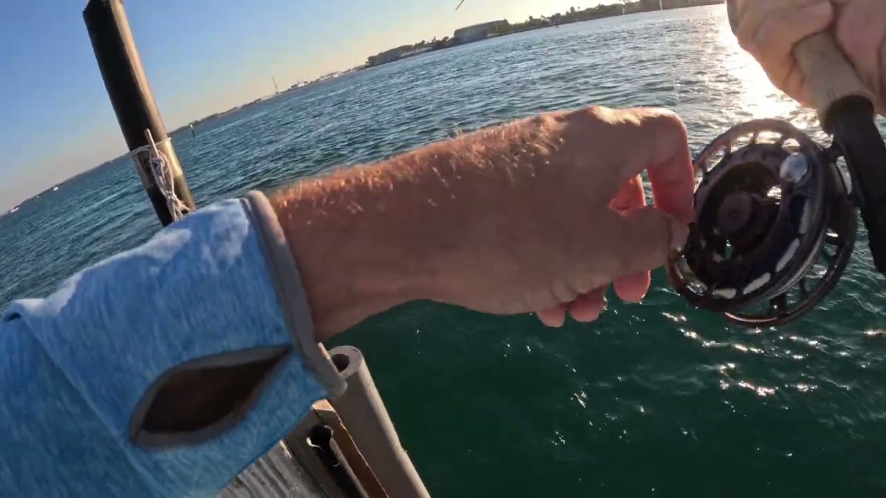 Scott Sector 8’4” 6wt vs Jack Crevalle