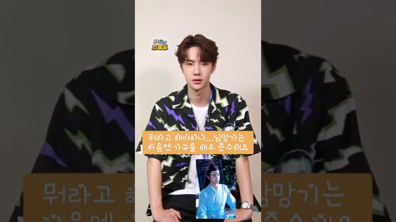 [영상번역] 《왕이보가 말하는 남망기 》바이두앱 秒懂本尊答 인터뷰번역