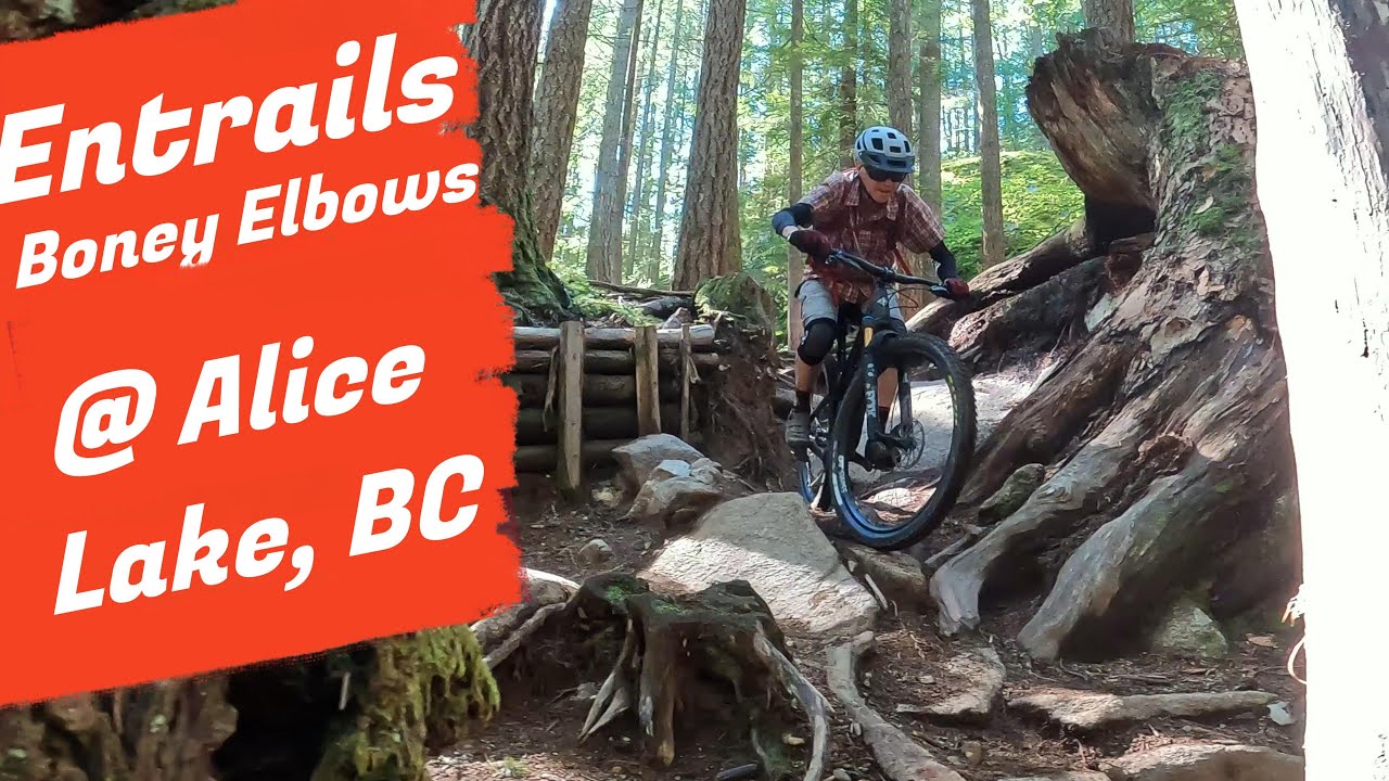Entrails & Boney Elbows Black Trails - Alice Lake, Squamish, British Columbia, Canada MTB