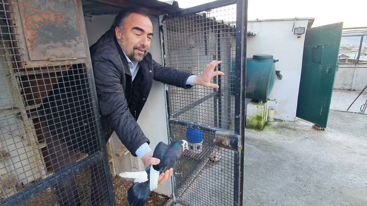 YUNANİSTAN BATI TRAKYA MAKARACILARI VE BULGAR MAKARACILARI ÖLÜMÜNE SARIYO 2 Sİ FENA ÇAKILDI