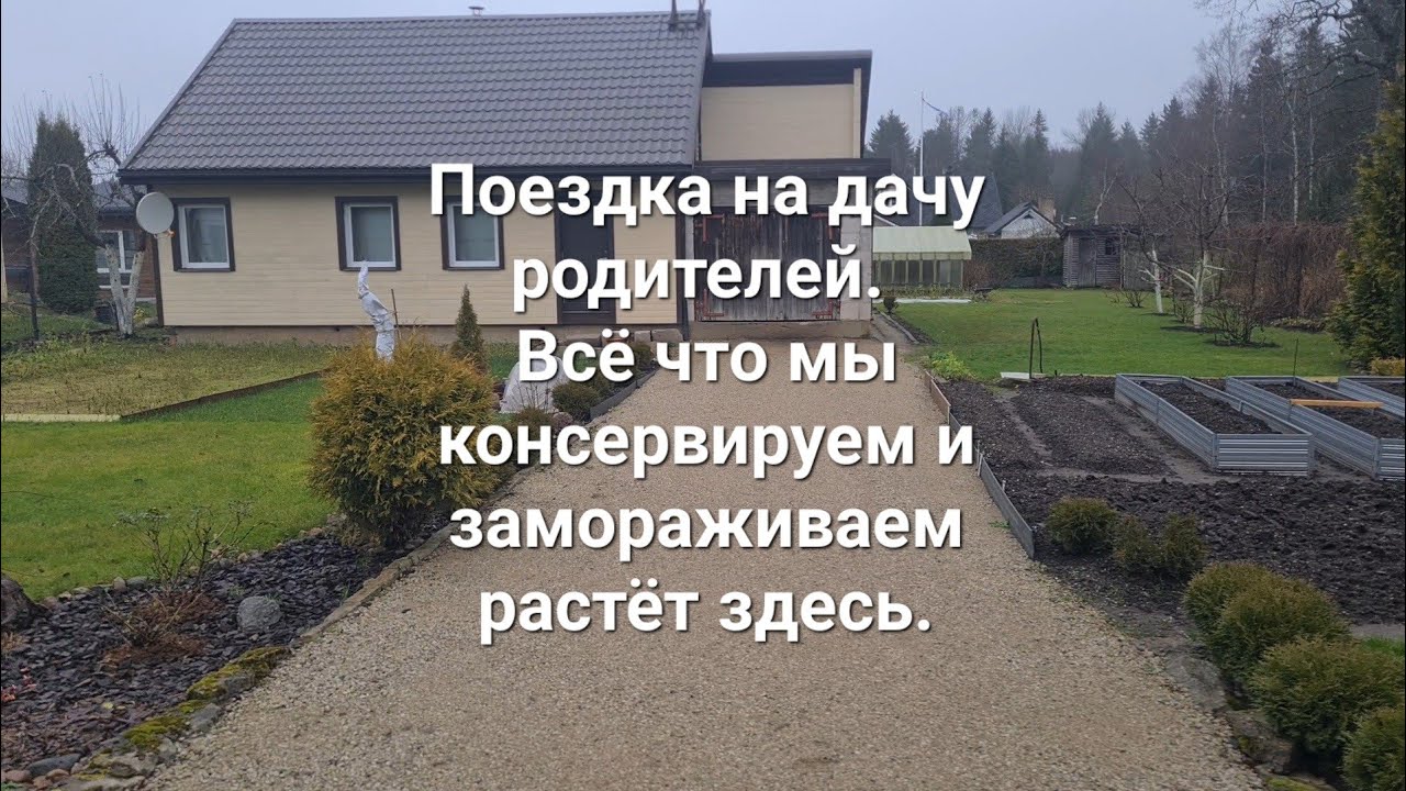 Поездка на дачу родителей. Там растёт весь урожай. Всё, что мы консервируем и замораживаем на зиму.