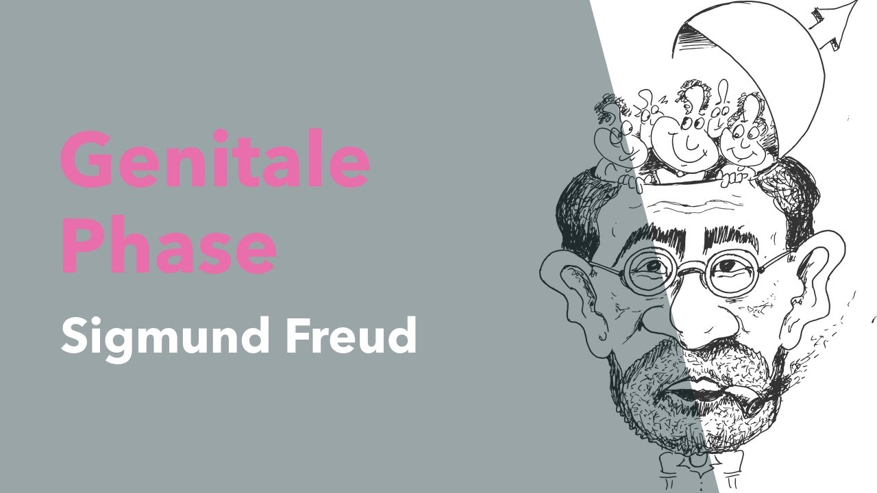 Genitale Phase nach Sigmund Freuds Phasenmodell [Erkl&auml;rung]