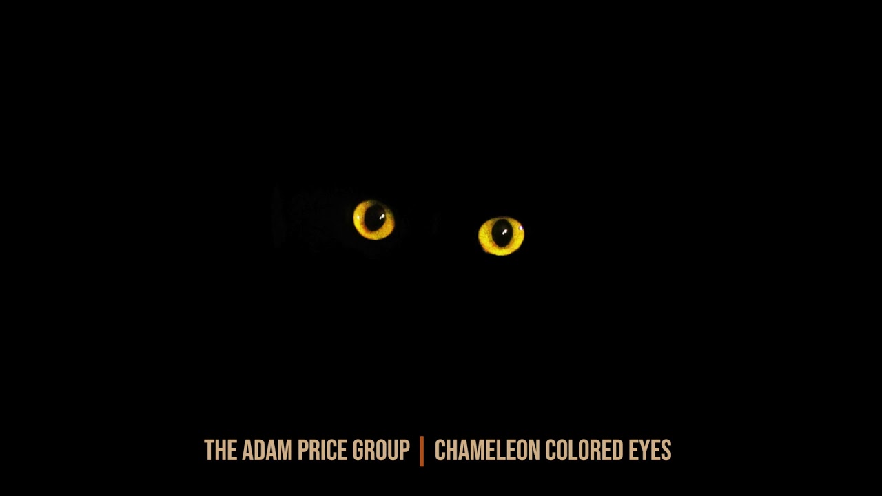 Chameleon Colored Eyes (single version) - The Adam Price Group