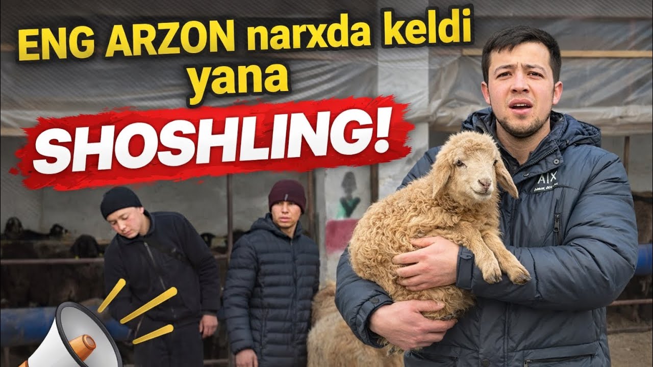 YANA ARZON BUGOZ VA ENA BOLA QOYLAR KELDI 2026