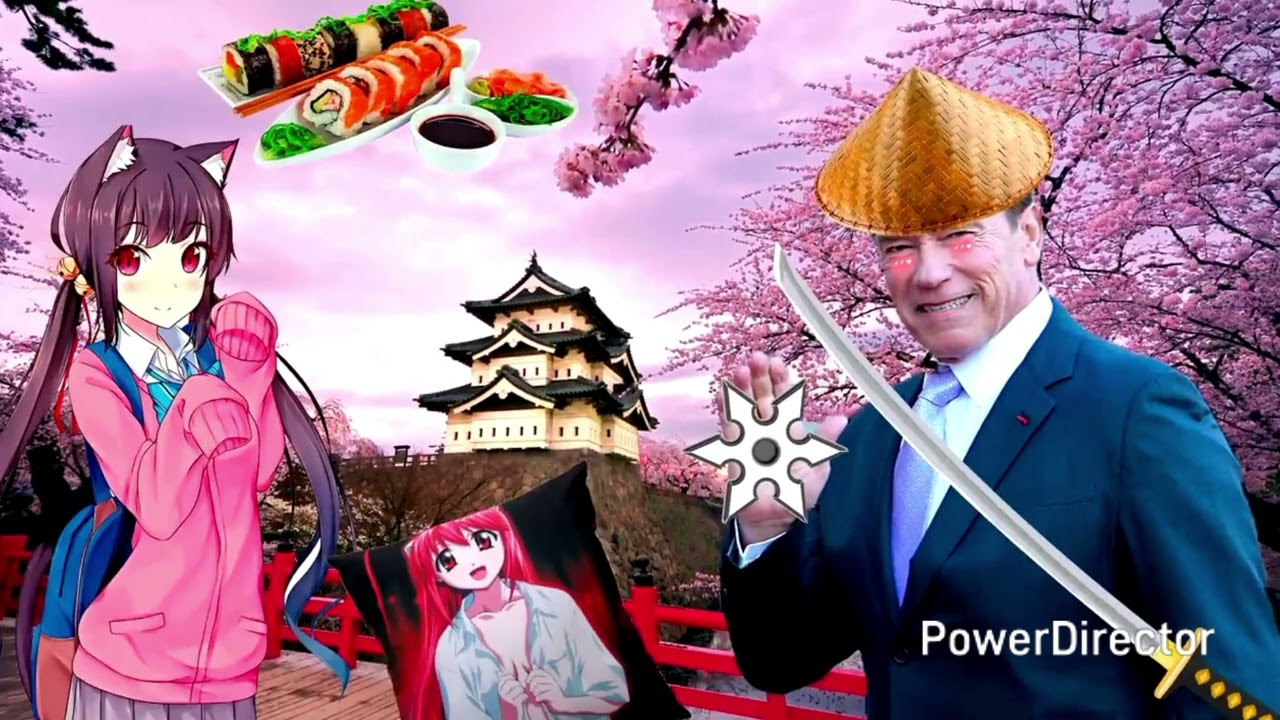 Arnold Schwarzenegger in different languages meme 