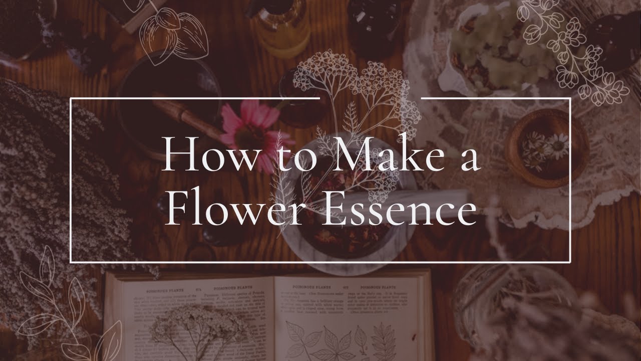 How to Make a Flower Essence