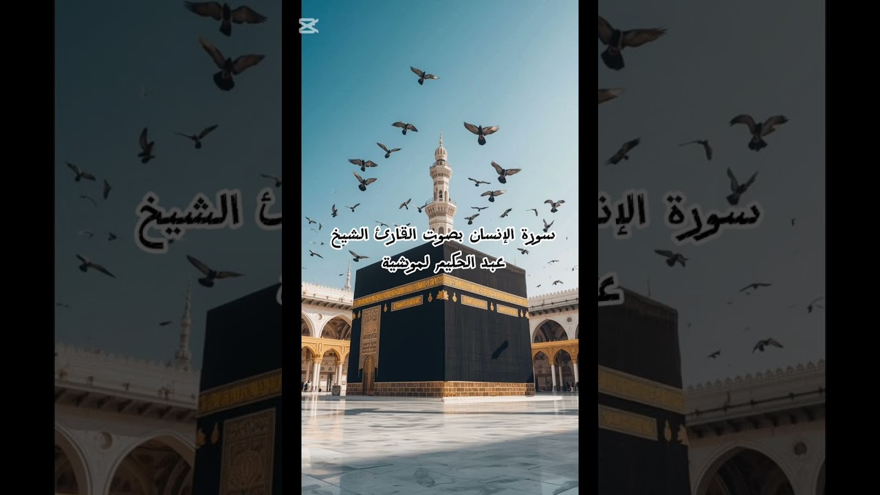 16 مارس 2026