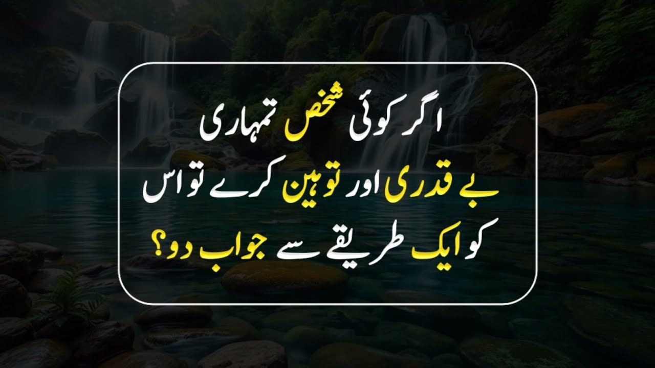 If Someone Disrespects You, Respond This Way | Deep Urdu Quotes | Afzal Quotes 