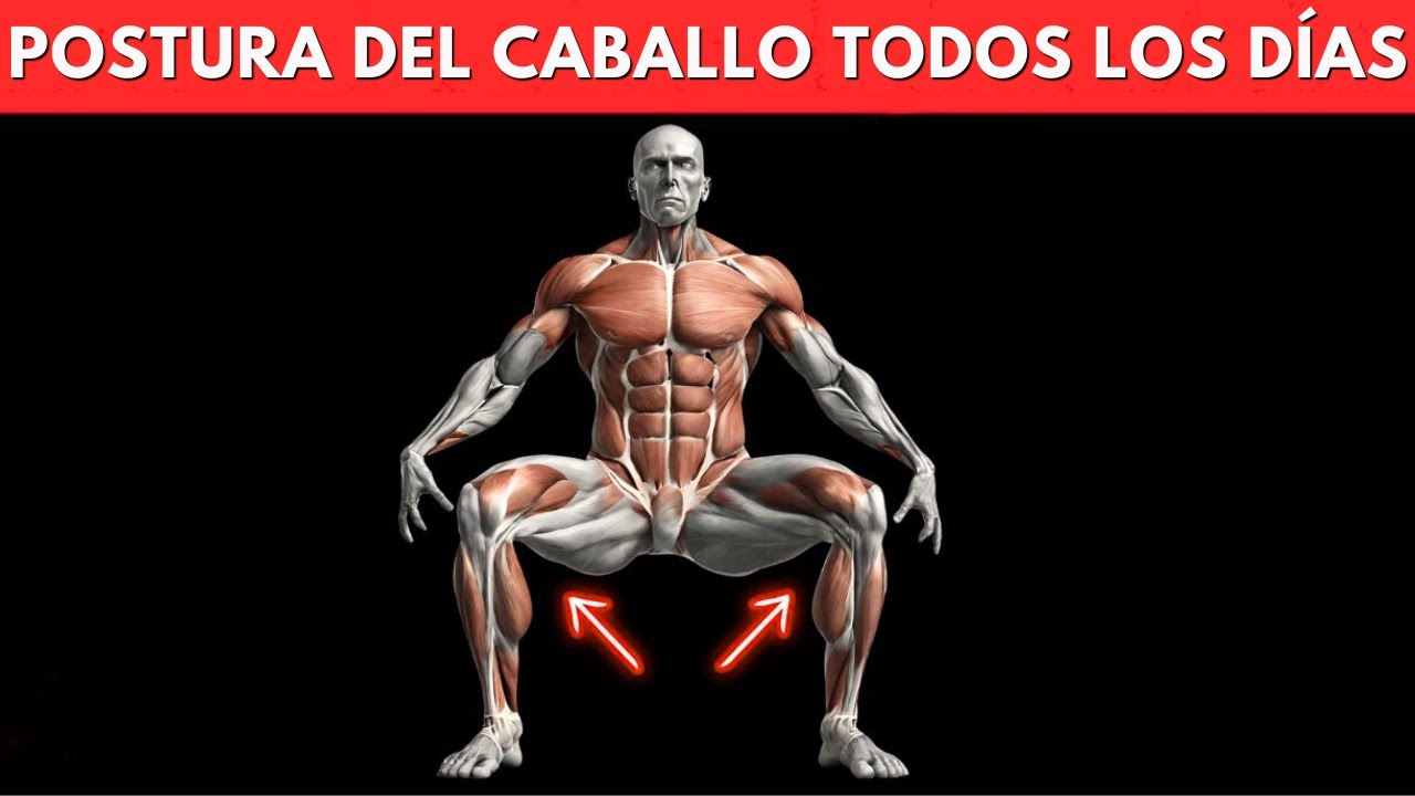 Sigue Haciendo La Postura Del Caballo Todos Los Días y Esto Sucede