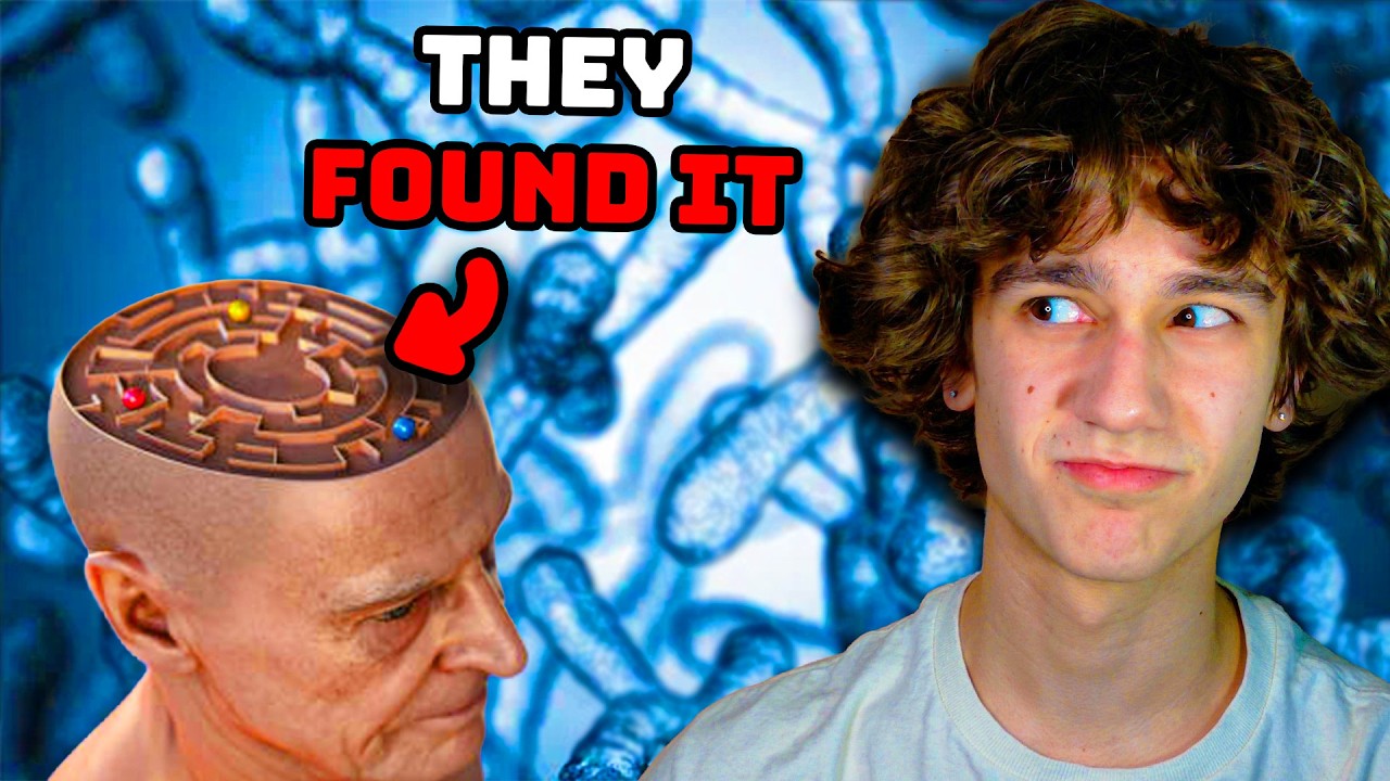 Our Brains Are Crazier Than You Think
