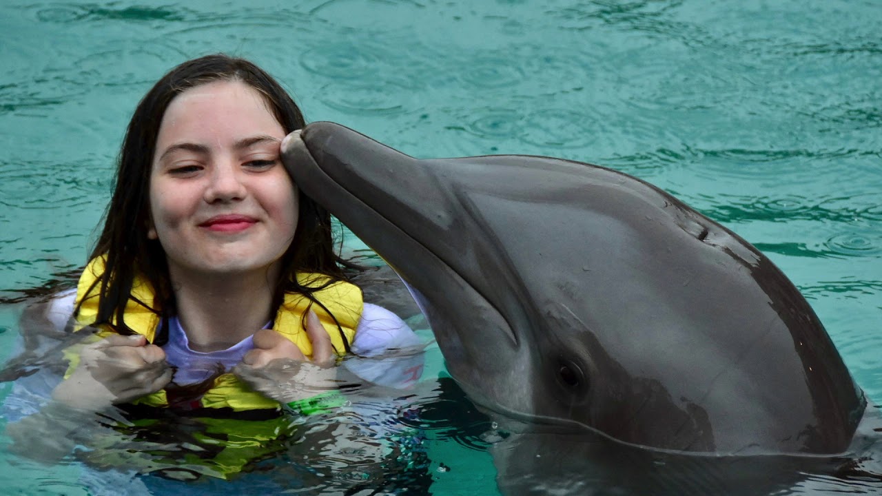 Swimming with Dolphins in Cozumel Mexico