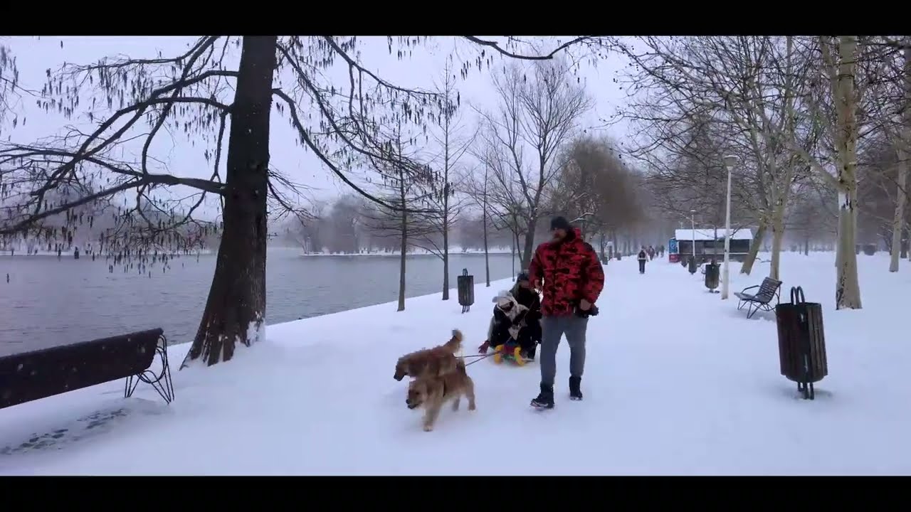 BUCHAREST in WINTER ❄️ Walking Tour Through Snowy Streets | 4K Relaxing City Walk