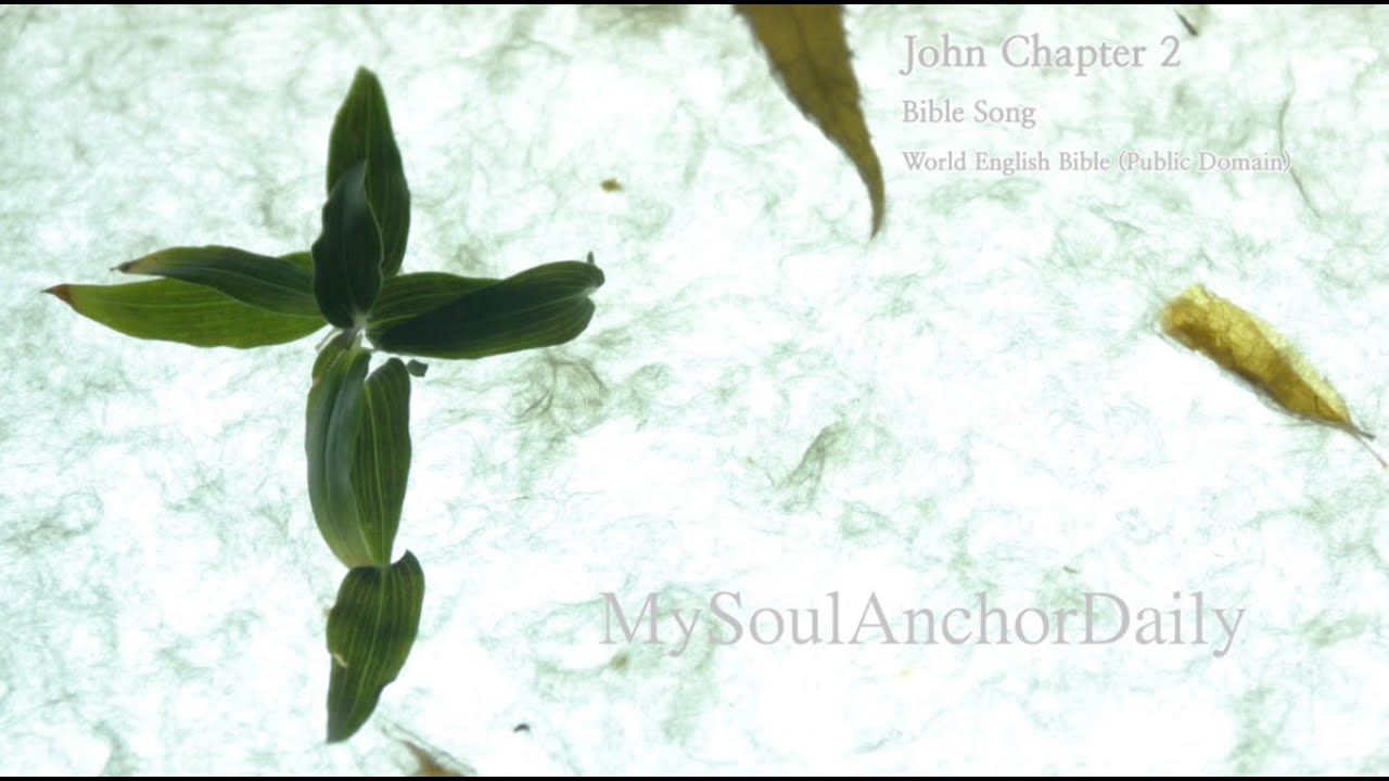John Chapter 2 — Bible Song