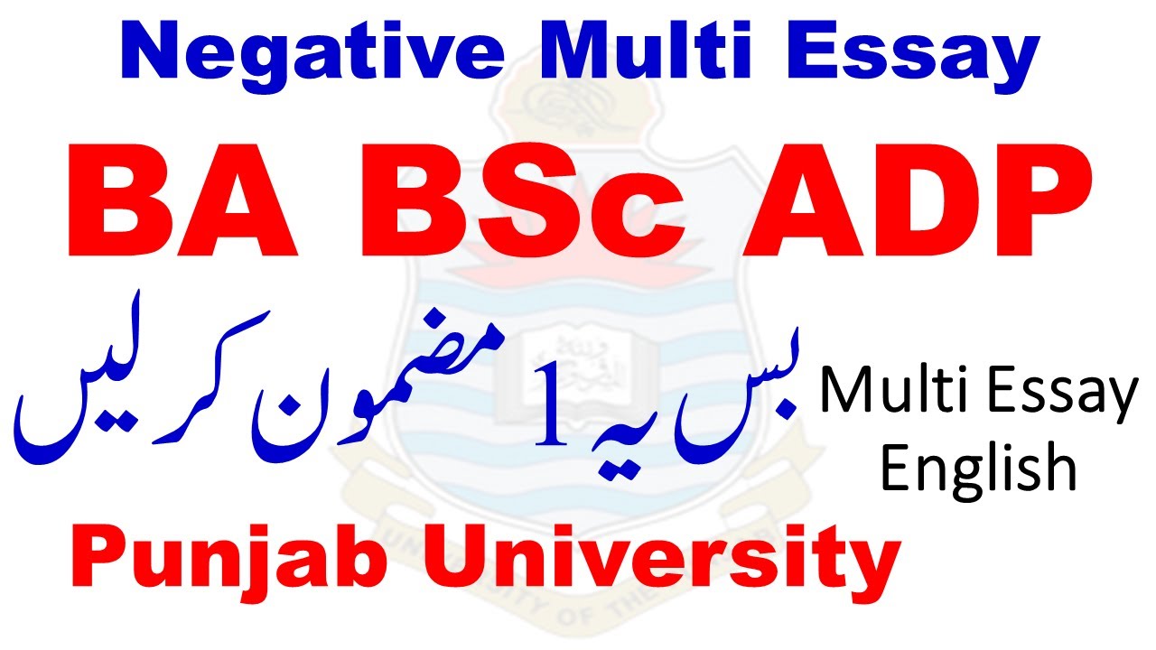 PU BA BSC ADP Supply 2025 English Multi Essay | ADA ADS English Multi Topic | BA BSC English PU