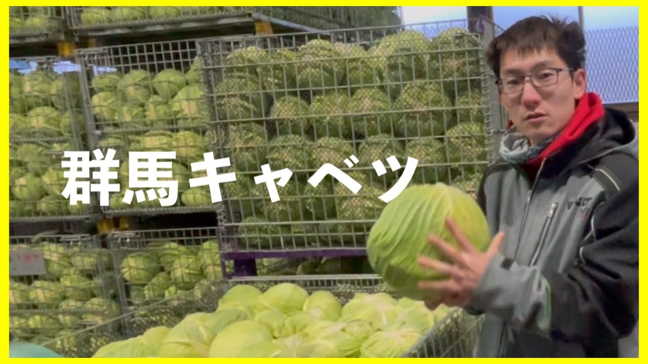 【爆走油井組 カイトの農家巡礼】ここにも“売りもん“あります…群馬キャベツ畑…広大な作付面積…大き過ぎるお犬さまのおうち…石田農園さんを歩く