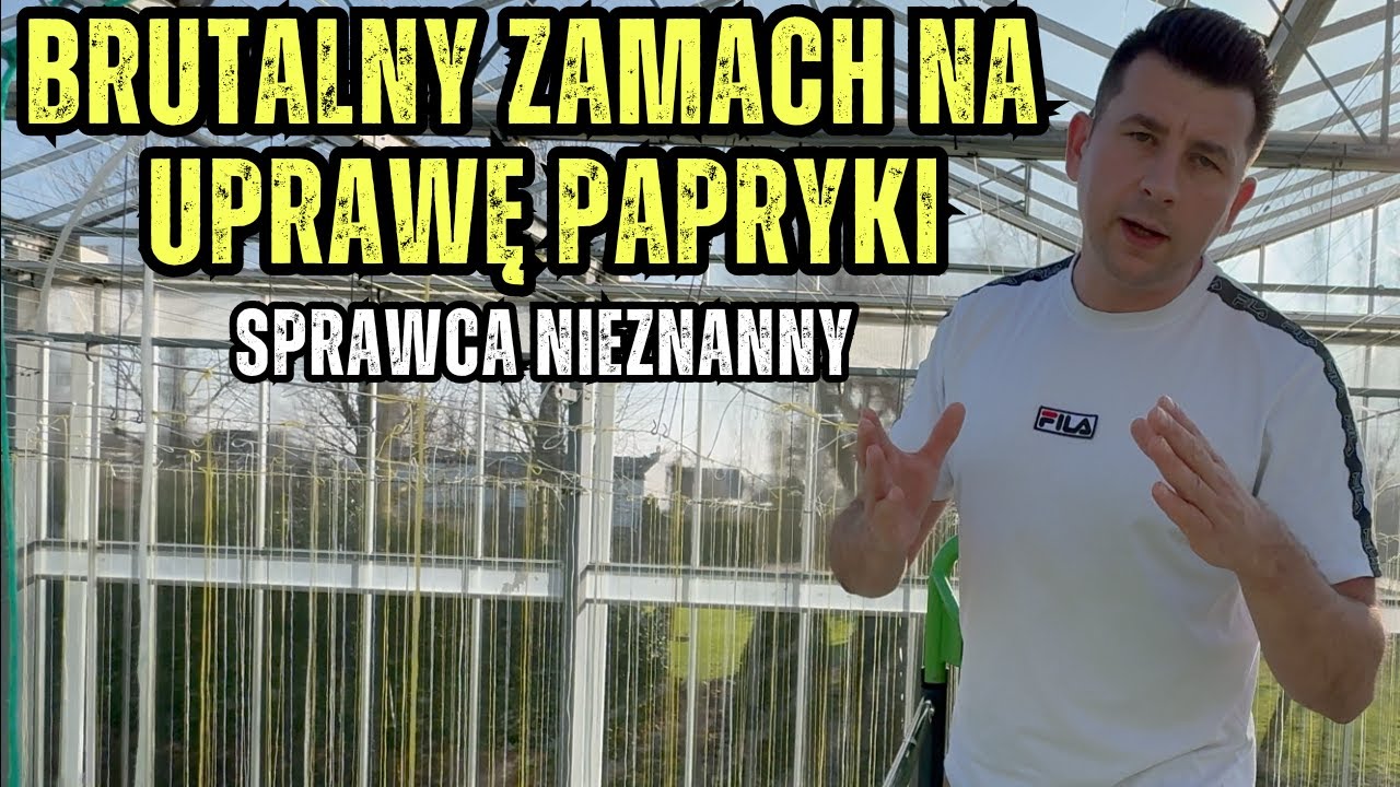 KTO ZNISZCZYŁ PAPRYKĘ?! INWAZJA SZKODNIKA