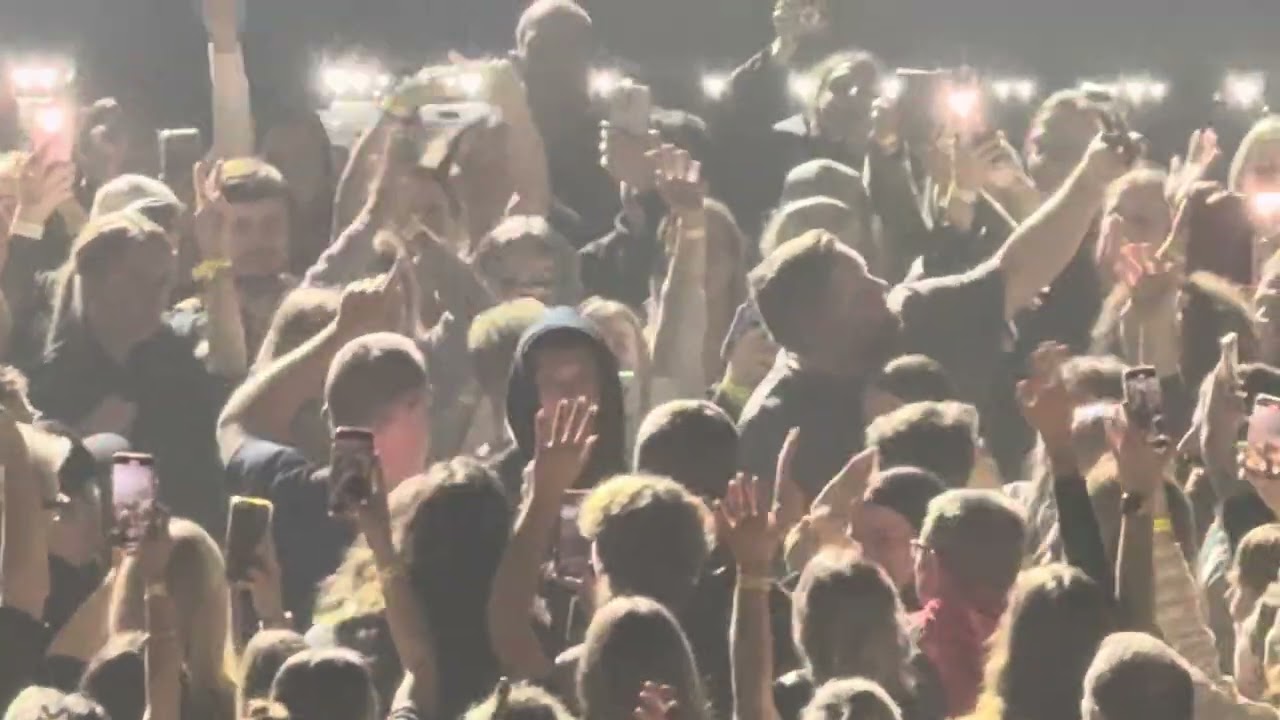 Bastille save my soul Dan smith dancing in crowd Brighton 