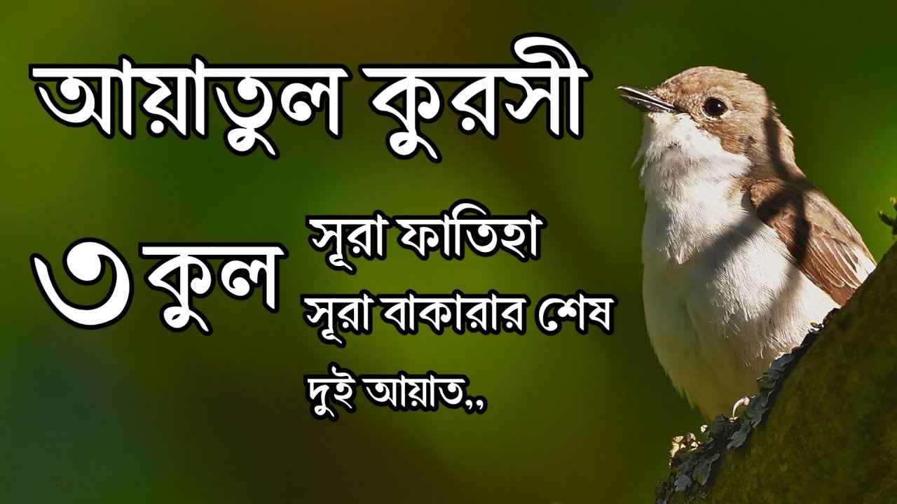 ৩ কুল,আয়াতুল কুরসী, সূরা ফাতিহা ও সূরা বাকারার শেষ দুই আয়াত | Reciter By Ayoub Mosab