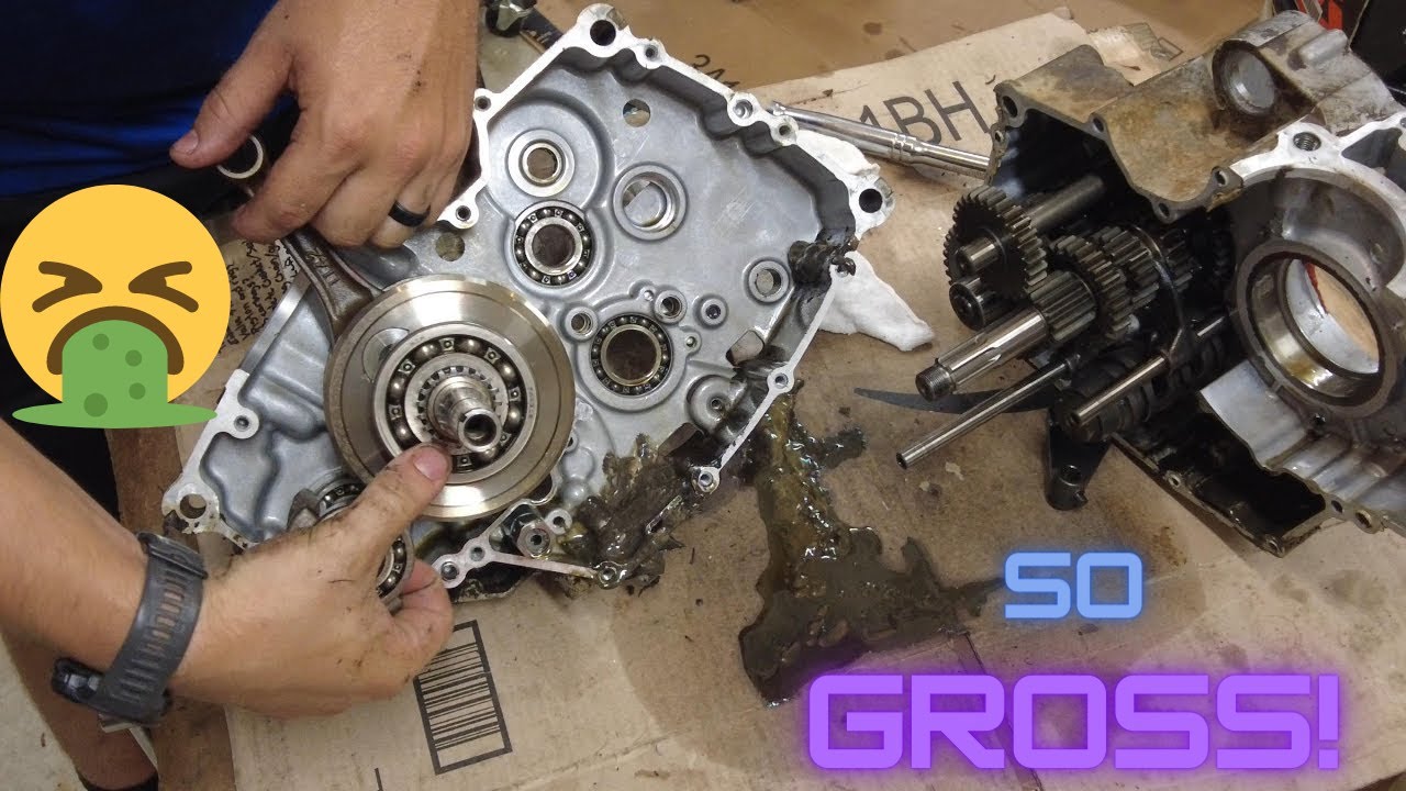 Kawasaki Bayou полностью разбирают нижнюю часть!