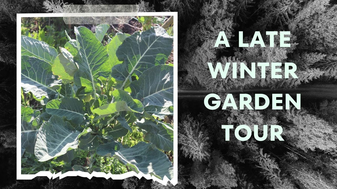A Late Winter Garden Tour