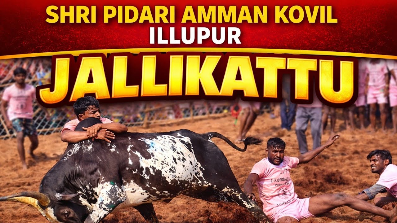 🔥 Illupur Jallikattu 2026 | Shri Pidari Amman Kovil | Ultimate Bull Taming #pongal #jallikattu#live 