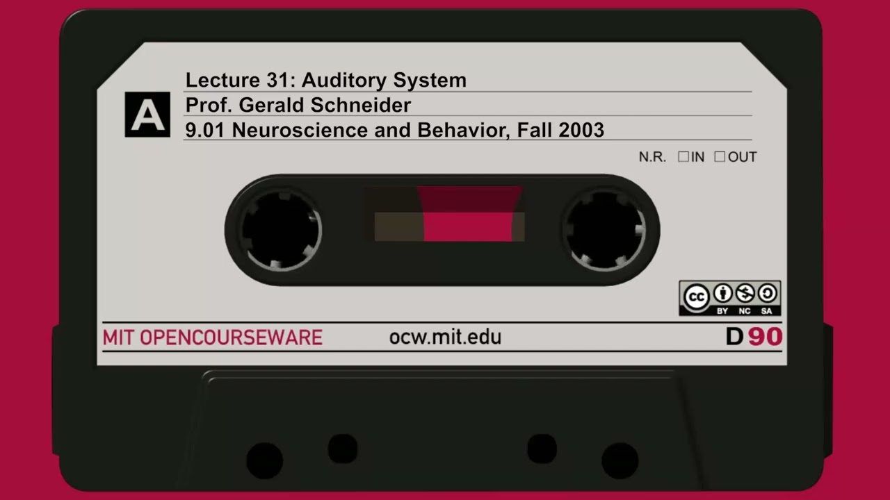 Lecture 31: Auditory System