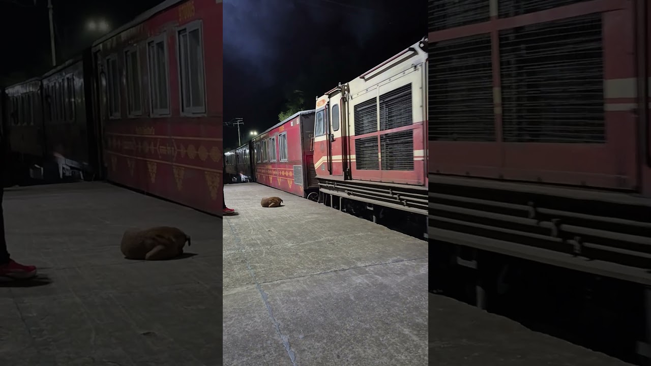 52460, Shimla Kalka Him Darshan Express Arriving at Kalka Railway Station.