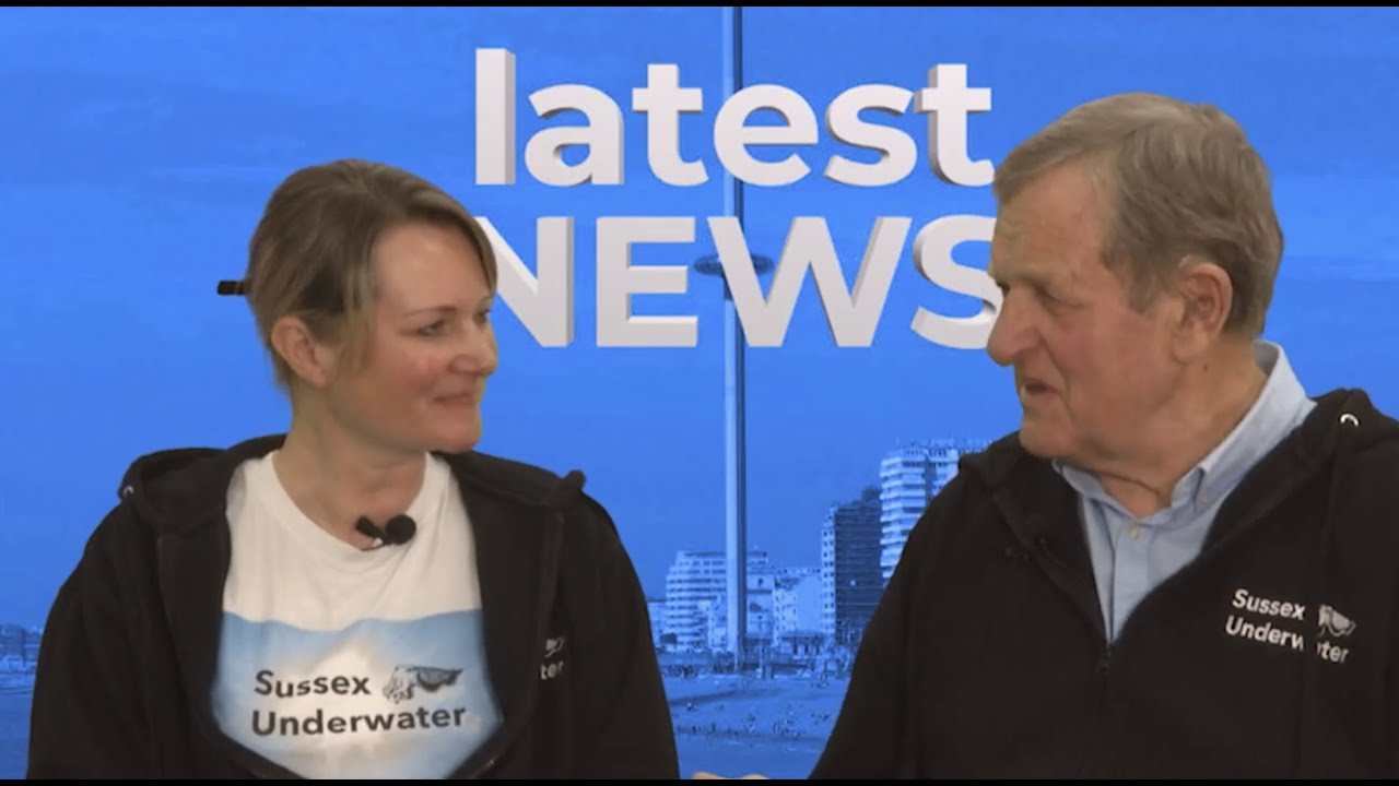 Fighting for Sussex's Seas: the Battle to Save Our Underwater Ecosystem