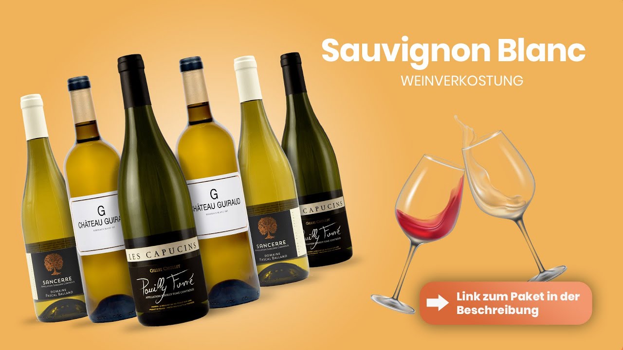Weinverkostung - Sauvignon Blanc 🍷🍇 - Mitte Meer