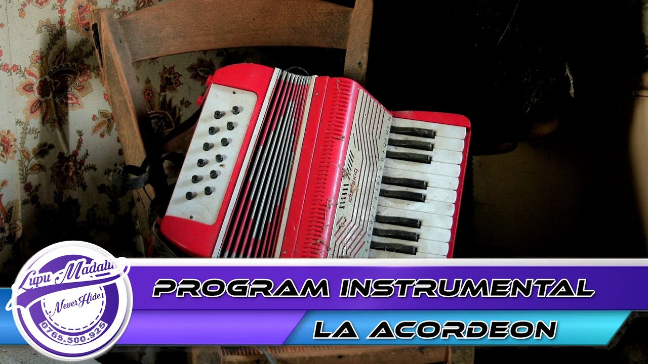 Program instrumental la acordeon by👍🏻NeverHideEvents🔔