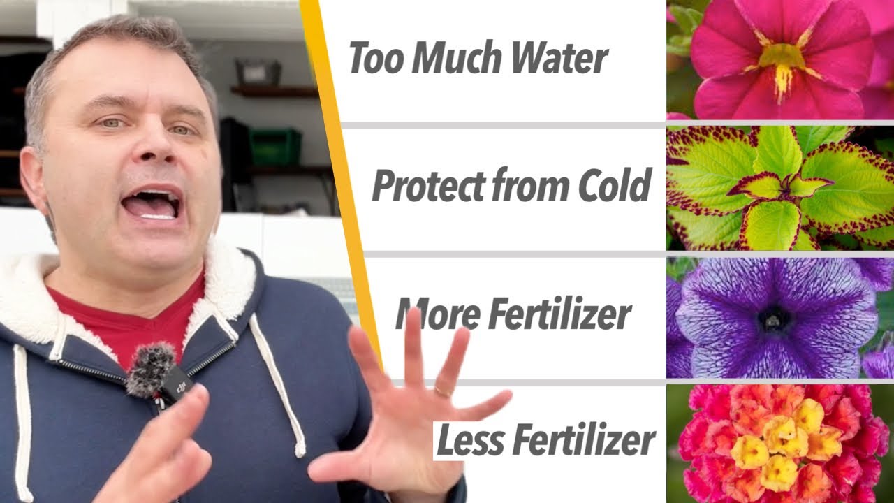 Outsmarting Tricky Annuals