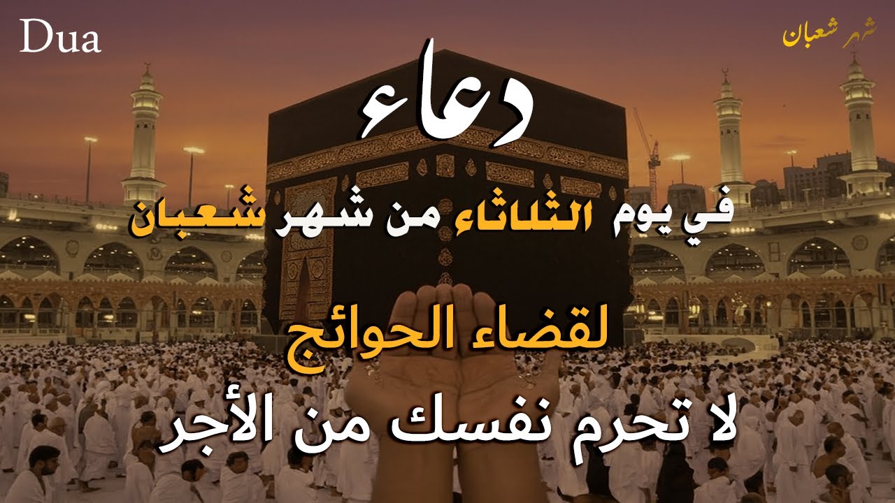 دعاء مستجاب في شهر شعبان لقضاء الحوائج وتفريج الهم _القارئ علاء عقل💚