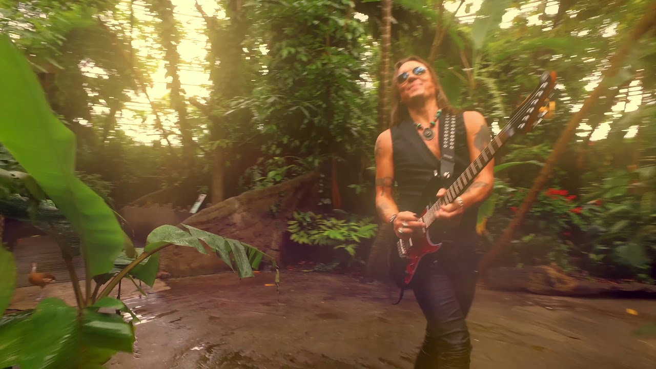 Soren Andersen - Bird Feeder (Official Music Video)