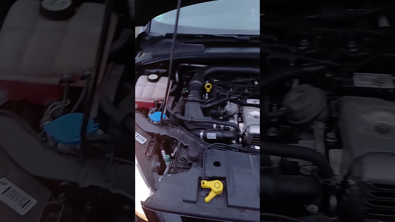 1 Liter 3 Zylinder  Ecoboost Motor