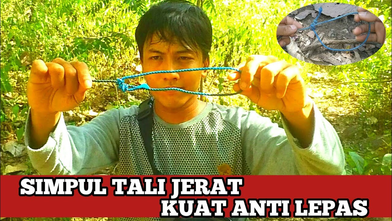 CARA MEMBUAT SIMPUL TALI JERAT BIAWAK, BURUNG, AYAM HUTAN DAN HEWAN LAINNYA