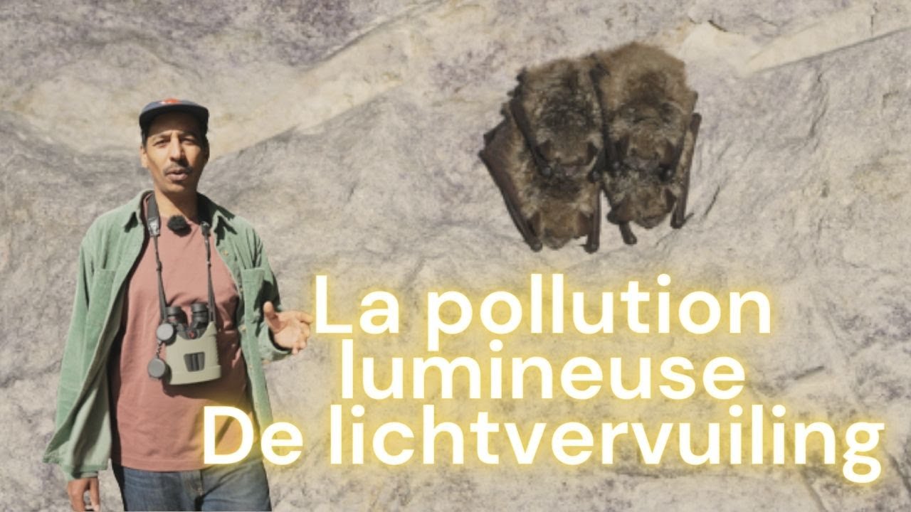 LA POLLUTION LUMINEUSE, des solutions existent !