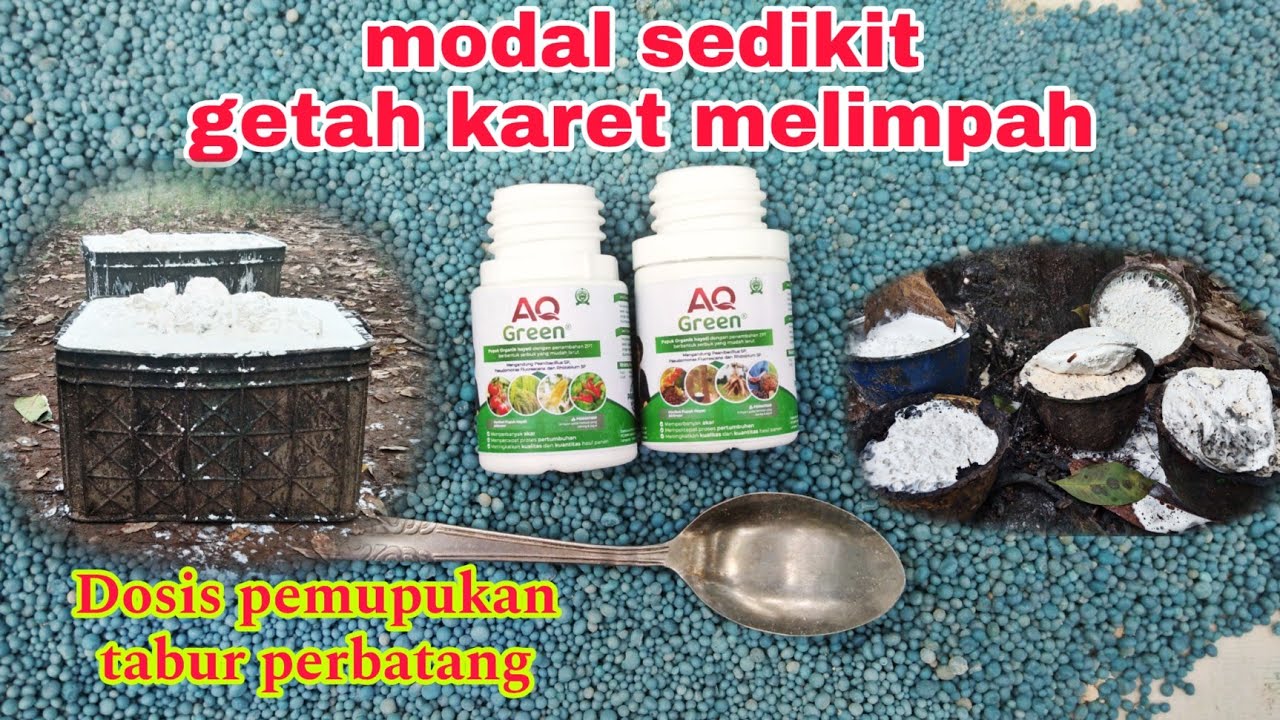Dosis pemupukan  per-pohon utuk pupuk organik aq Green dan NPK Mutiara