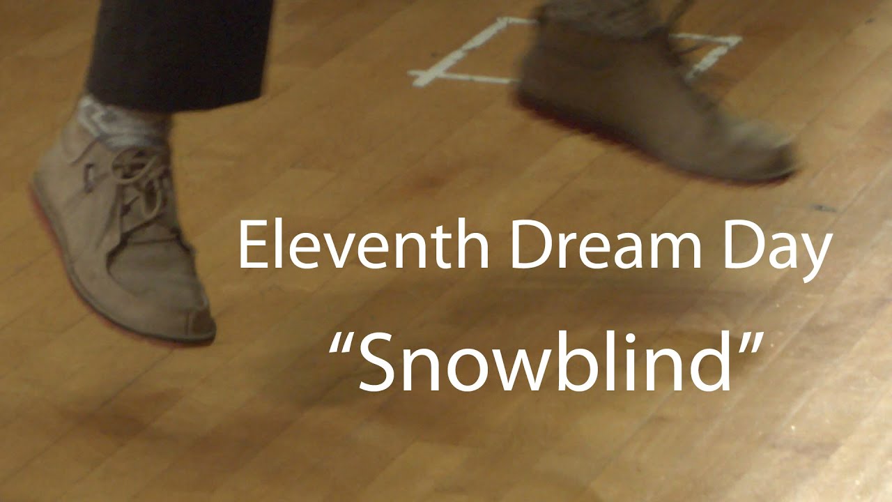 Eleventh Dream Day perform 