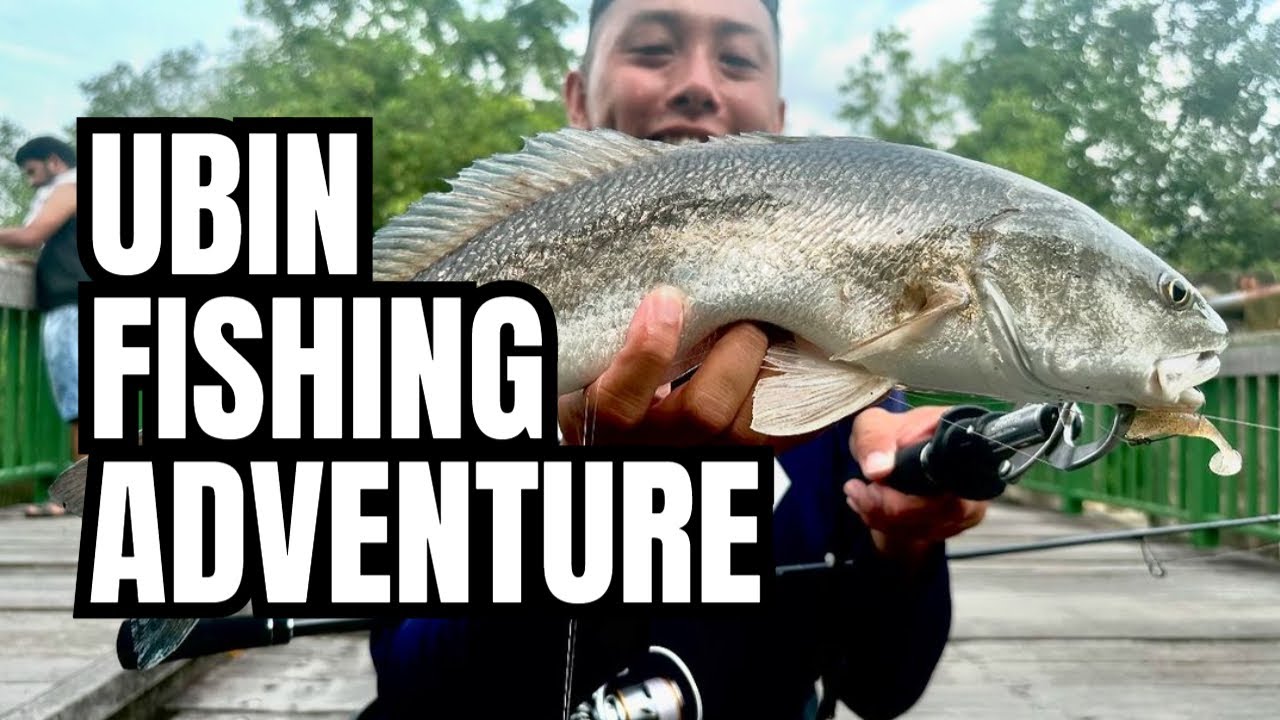 Pulau Ubin Fishing!
