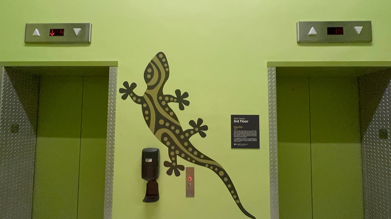 Schindler Traction Service Elevators at Hyatt Regency Ewa Tower