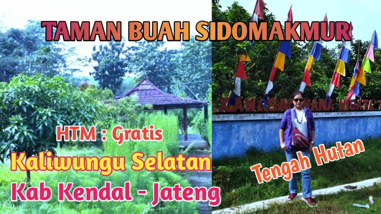 TAMAN BUAH SIDOMAKMUR | KALIWUNGU SELATAN - KAB KENDAL - JATENG| TENGAH HUTAN JATI ‼